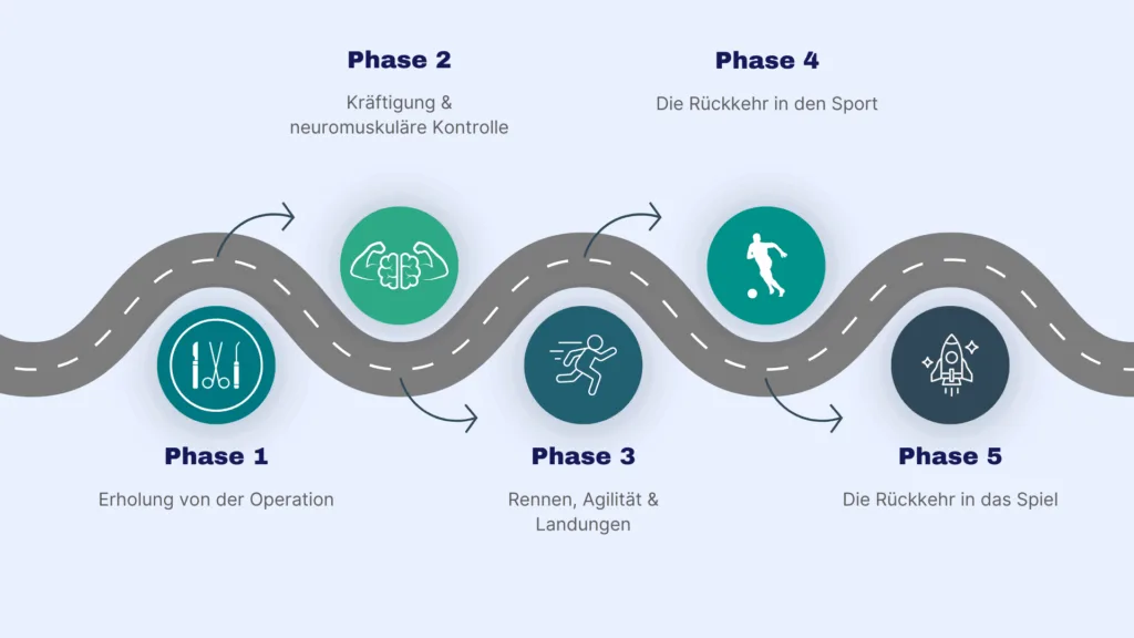 Schematische Darstellung der Phasen in einer Kreuzbandreha