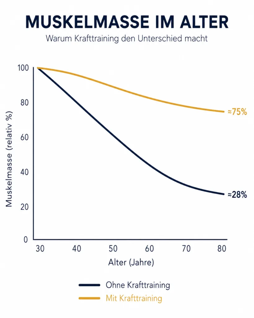 Minimalistische Grafik zeigt den Rückgang der Muskelmasse von 30 bis 80 Jahren. Eine Kurve fällt ohne Krafttraining deutlich ab, während die Muskelmasse mit Krafttraining länger stabil bleibt.